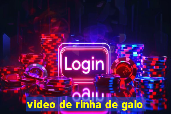 video de rinha de galo